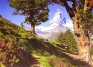 Маттерхорн Пазл, 1000 элементов Серия: Travel collection инфо 1242e.