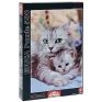 Кошка с котенком Пазл, 500 элементов Пазл , Картон Возраст: от 3 лет Элементов: 501 Educa Borras, SA; Испания 2009 г ; Артикул: 13758; Упаковка: Коробка Не рекомендуется детям до 3-х лет инфо 1872e.